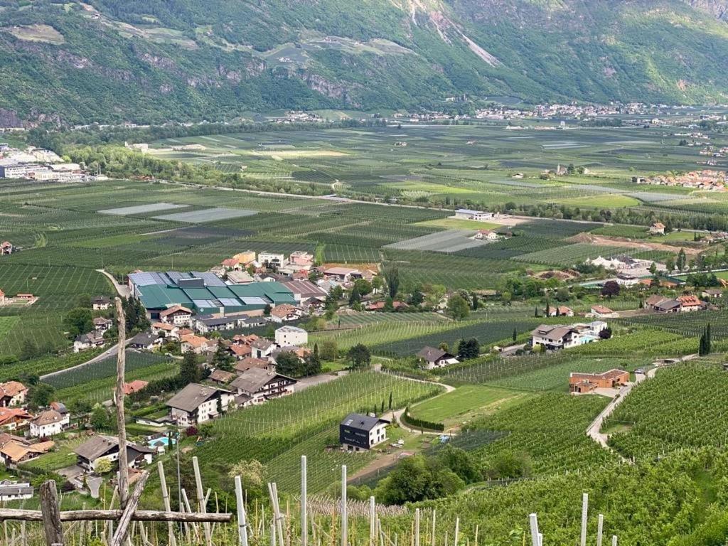 Weingut Bachguetl Apartment Cermes Bagian luar foto